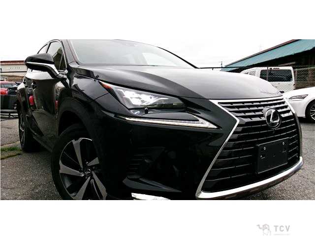 2018 Lexus NX