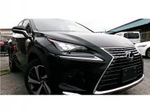 2018 Lexus NX