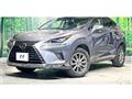 2019 Lexus NX