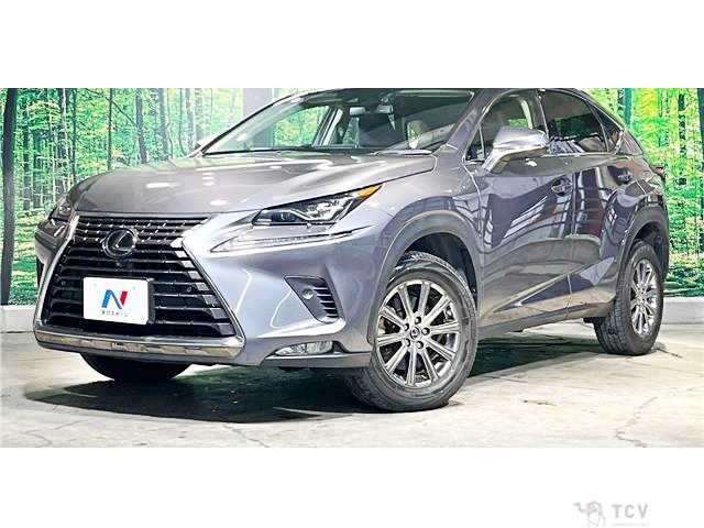 2019 Lexus NX
