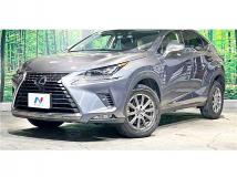 2019 Lexus NX