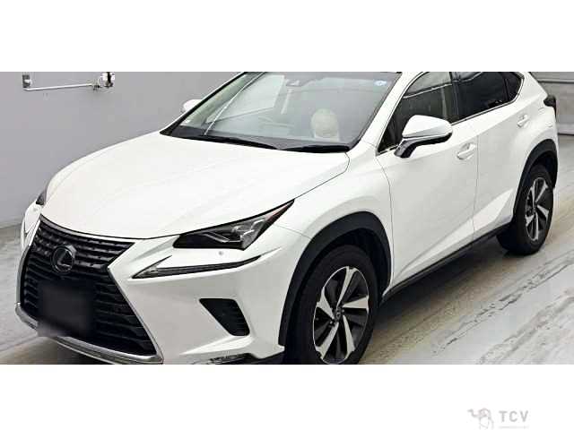 2019 Lexus NX