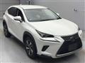 2019 Lexus NX