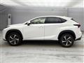 2019 Lexus NX