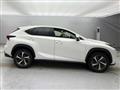 2019 Lexus NX