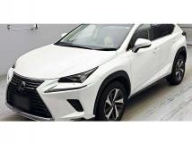 2019 Lexus NX