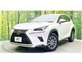 2019 Lexus NX
