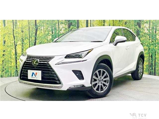 2019 Lexus NX
