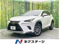 2019 Lexus NX