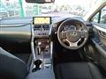 2019 Lexus NX