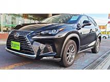 2019 Lexus NX