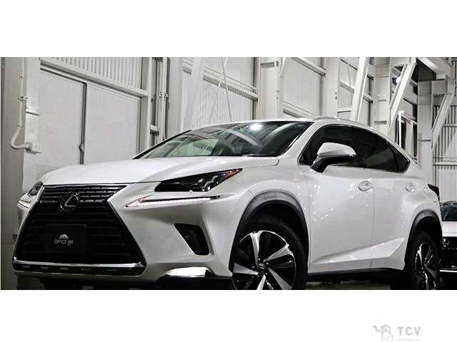 2019 Lexus NX