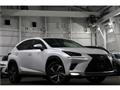 2019 Lexus NX