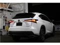 2019 Lexus NX