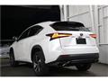 2019 Lexus NX