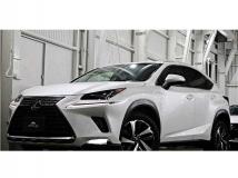 2019 Lexus NX