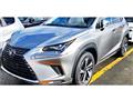 2019 Lexus NX