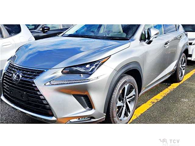2019 Lexus NX