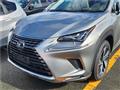 2019 Lexus NX