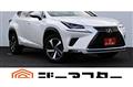 2019 Lexus NX