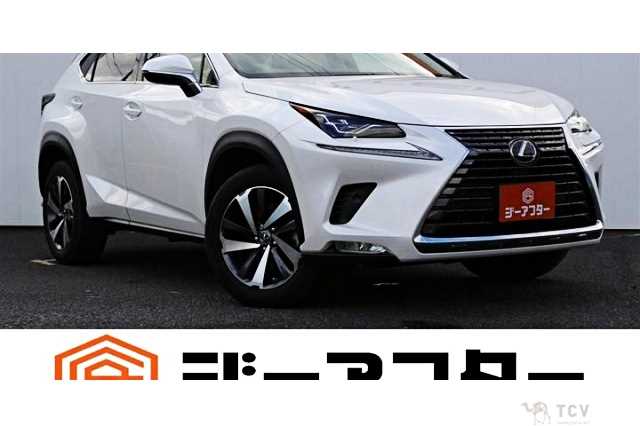 2019 Lexus NX