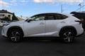2019 Lexus NX