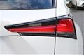 2019 Lexus NX