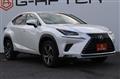 2019 Lexus NX