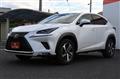 2019 Lexus NX