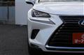 2019 Lexus NX