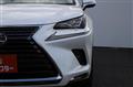 2019 Lexus NX