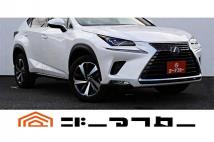 2019 Lexus NX