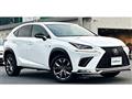2019 Lexus NX
