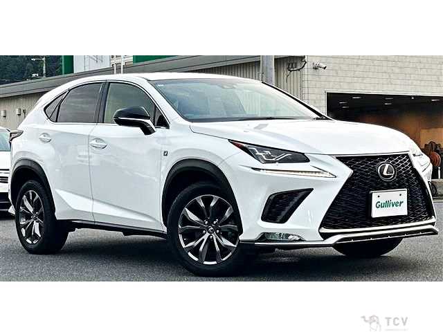 2019 Lexus NX