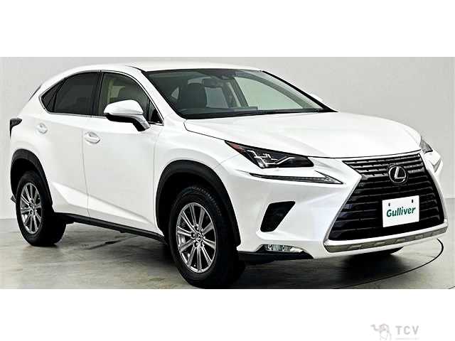 2019 Lexus NX