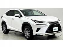 2019 Lexus NX