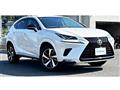 2019 Lexus NX