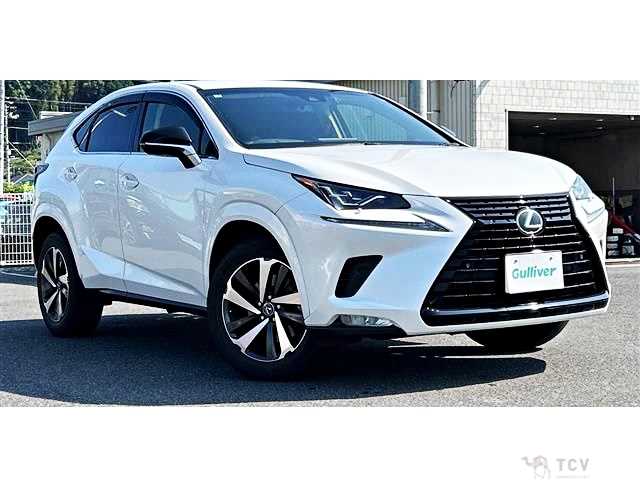 2019 Lexus NX