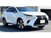2019 Lexus NX