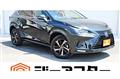 2019 Lexus NX