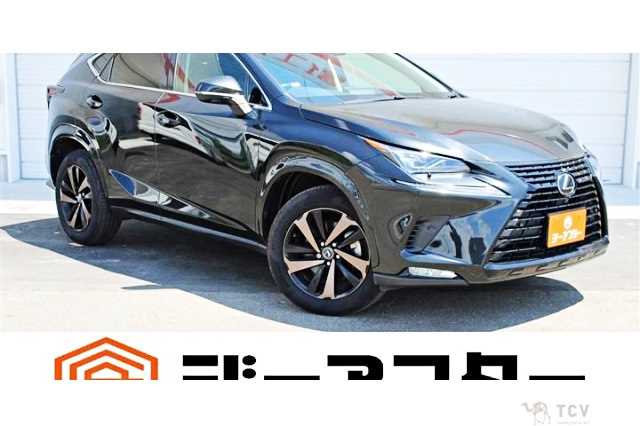 2019 Lexus NX