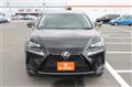 2019 Lexus NX