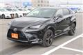 2019 Lexus NX