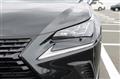 2019 Lexus NX