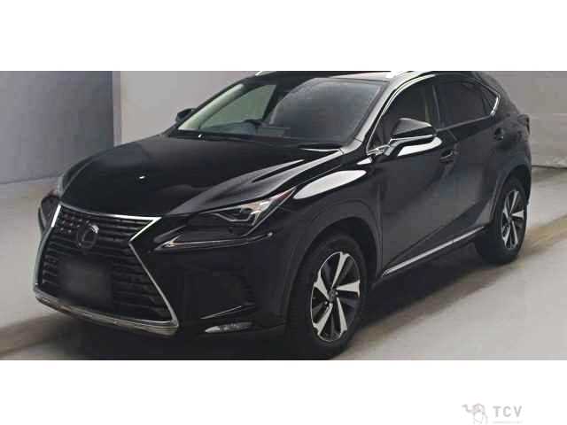2019 Lexus NX