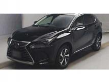 2019 Lexus NX