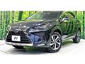 2019 Lexus NX
