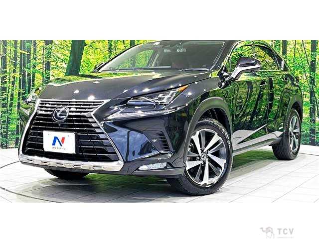 2019 Lexus NX