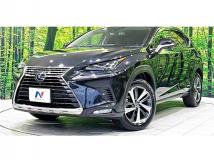 2019 Lexus NX
