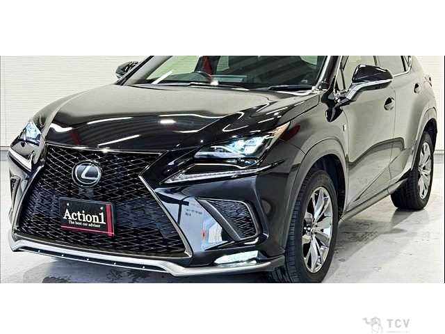2019 Lexus NX